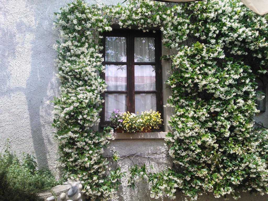 Agriturismo Cassinazza Orsenigo الغرفة الصورة