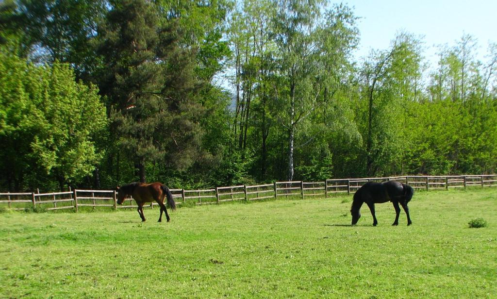 Agriturismo Cassinazza Orsenigo المظهر الخارجي الصورة
